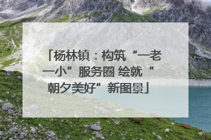 杨林镇：构筑“一老一小”服务圈 绘就“朝夕美好”新图景