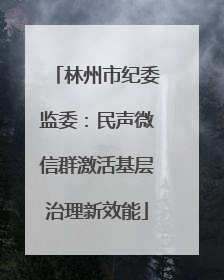 林州市纪委监委：民声微信群激活基层治理新效能