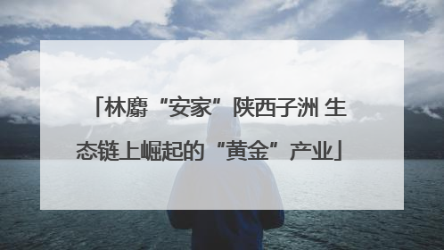 林麝“安家”陕西子洲 生态链上崛起的“黄金”产业