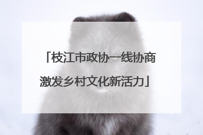 枝江市政协一线协商激发乡村文化新活力