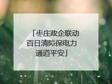 枣庄政企联动百日清障保电力通道平安