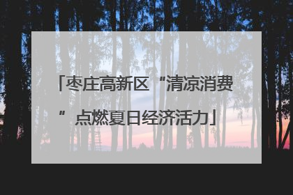 枣庄高新区“清凉消费”点燃夏日经济活力