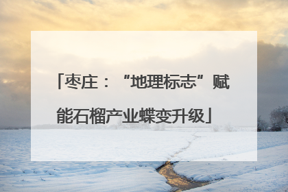 枣庄：“地理标志”赋能石榴产业蝶变升级