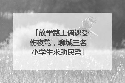 放学路上偶遇受伤夜鹭，聊城三名小学生求助民警