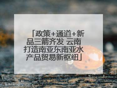 政策+通道+新品三箭齐发 云南打造南亚东南亚水产品贸易新枢纽