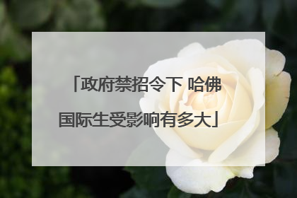 政府禁招令下 哈佛国际生受影响有多大