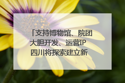 支持博物馆、院团大胆开发、运营IP 四川将探索建立新的收入分配激励机制｜新闻发布最前线