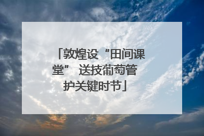敦煌设“田间课堂” 送技葡萄管护关键时节