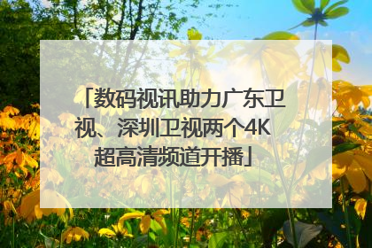 数码视讯助力广东卫视、深圳卫视两个4K超高清频道开播