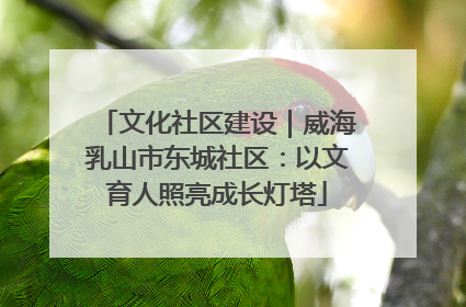 文化社区建设｜威海乳山市东城社区：以文育人照亮成长灯塔