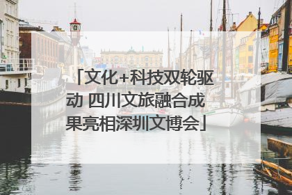 文化+科技双轮驱动 四川文旅融合成果亮相深圳文博会