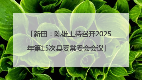 新田：陈雄主持召开2025年第15次县委常委会会议