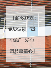 新乡获嘉：党员认领“微心愿” 爱心圆梦暖童心