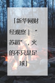 新华网财经观察｜“苏超”，火的不只是足球