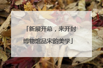 新展开幕，来开封博物馆品宋韵美学