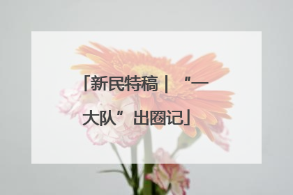 新民特稿｜“一大队”出圈记