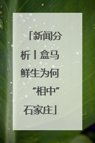 新闻分析丨盒马鲜生为何“相中”石家庄