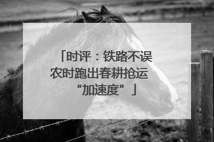 时评：铁路不误农时跑出春耕抢运“加速度”