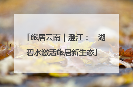 旅居云南｜澄江：一湖碧水激活旅居新生态