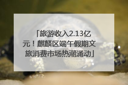 旅游收入2.13亿元！麒麟区端午假期文旅消费市场热潮涌动