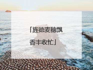 旌德麦穗飘香丰收忙