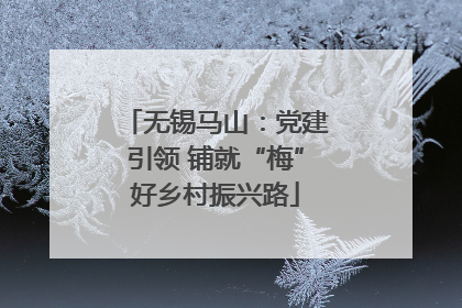 无锡马山：党建引领 铺就“梅”好乡村振兴路