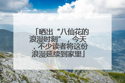 晒出“八仙花的浪漫时刻”，今天，不少读者将这份浪漫延续到家里