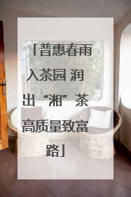 普惠春雨入茶园 润出“湘”茶高质量致富路