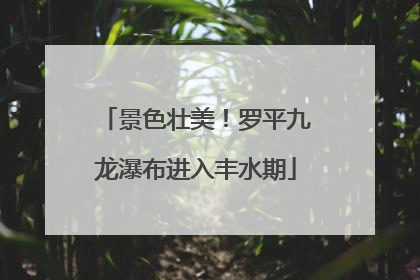 景色壮美！罗平九龙瀑布进入丰水期