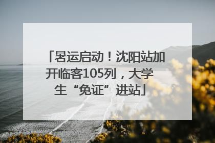 暑运启动！沈阳站加开临客105列，大学生“免证”进站