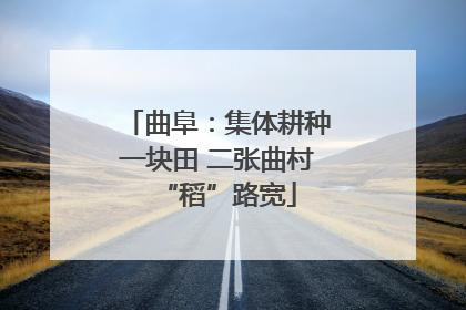 曲阜：集体耕种一块田 二张曲村“稻”路宽