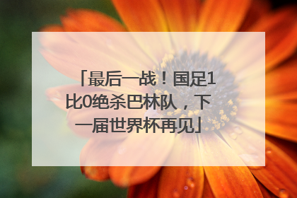 最后一战!国足1比0绝杀巴林队,下一届世界杯再见