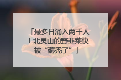 最多日涌入两千人！北灵山的野韭菜快被“薅秃了”