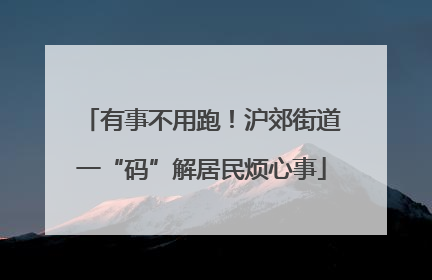 有事不用跑！沪郊街道一“码”解居民烦心事