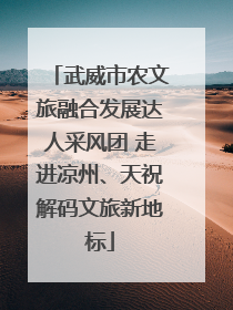 武威市农文旅融合发展达人采风团 走进凉州、天祝解码文旅新地标