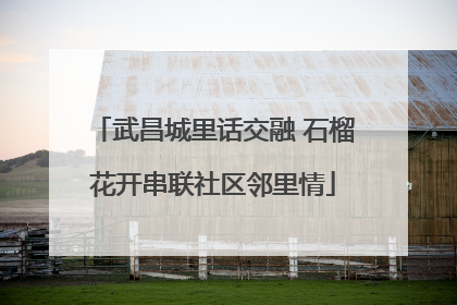 武昌城里话交融 石榴花开串联社区邻里情
