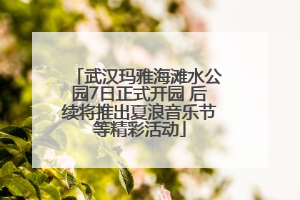武汉玛雅海滩水公园7日正式开园 后续将推出夏浪音乐节等精彩活动