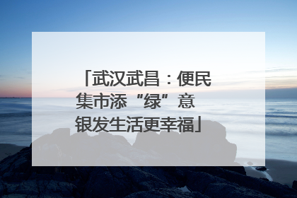 武汉武昌:便民集市添“绿”意 银发生活更幸福