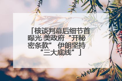 核谈判幕后细节首曝光 美政府“开秘密条款” 伊朗坚持“三大底线”