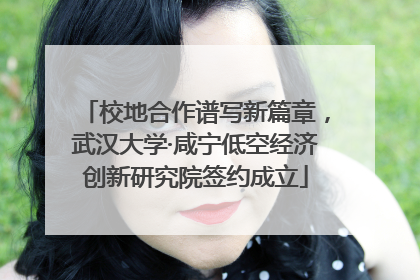 校地合作谱写新篇章，武汉大学·咸宁低空经济创新研究院签约成立