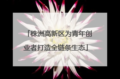 株洲高新区为青年创业者打造全链条生态