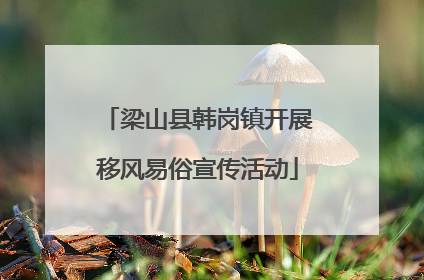 梁山县韩岗镇开展移风易俗宣传活动
