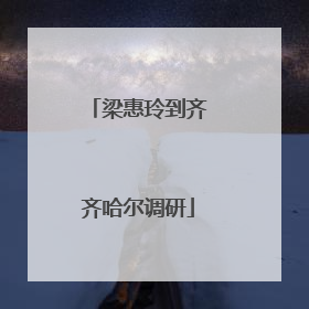 梁惠玲到齐齐哈尔调研