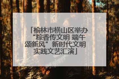 榆林市横山区举办“粽香传文明 端午颂新风”新时代文明实践文艺汇演