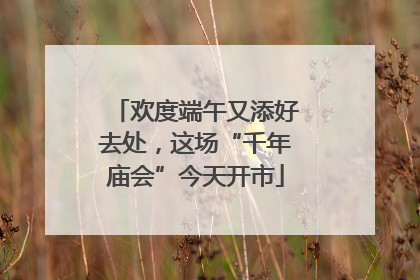 欢度端午又添好去处，这场“千年庙会”今天开市