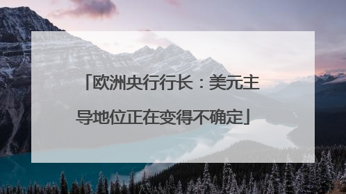 欧洲央行行长：美元主导地位正在变得不确定