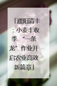 濮阳清丰：小麦丰收季 “一条龙”作业开启农业高效新篇章