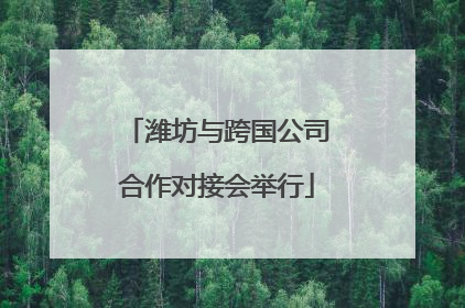 潍坊与跨国公司合作对接会举行