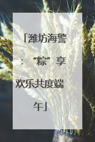 潍坊海警：“粽”享欢乐共度端午