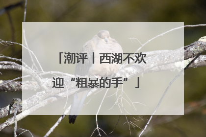 潮评丨西湖不欢迎“粗暴的手”